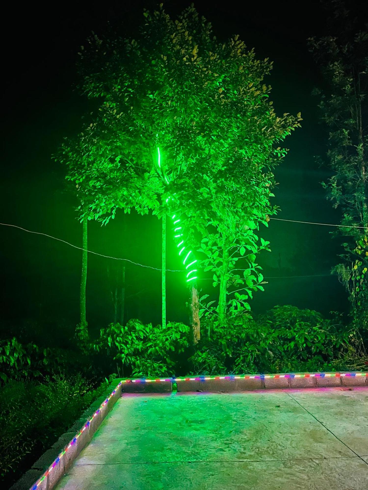 Preetham Homestay Кушалнагар Экстерьер фото